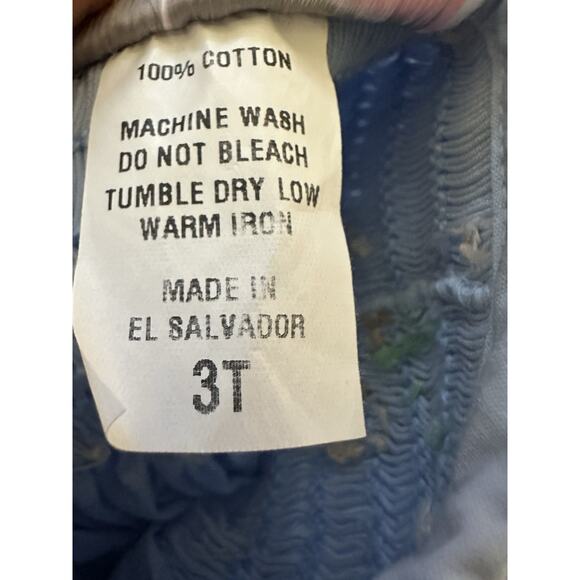 Size 3T Bishop Pumpkin Dress By Stitches Of Faith Thanksgiving - Picture 7 of 7